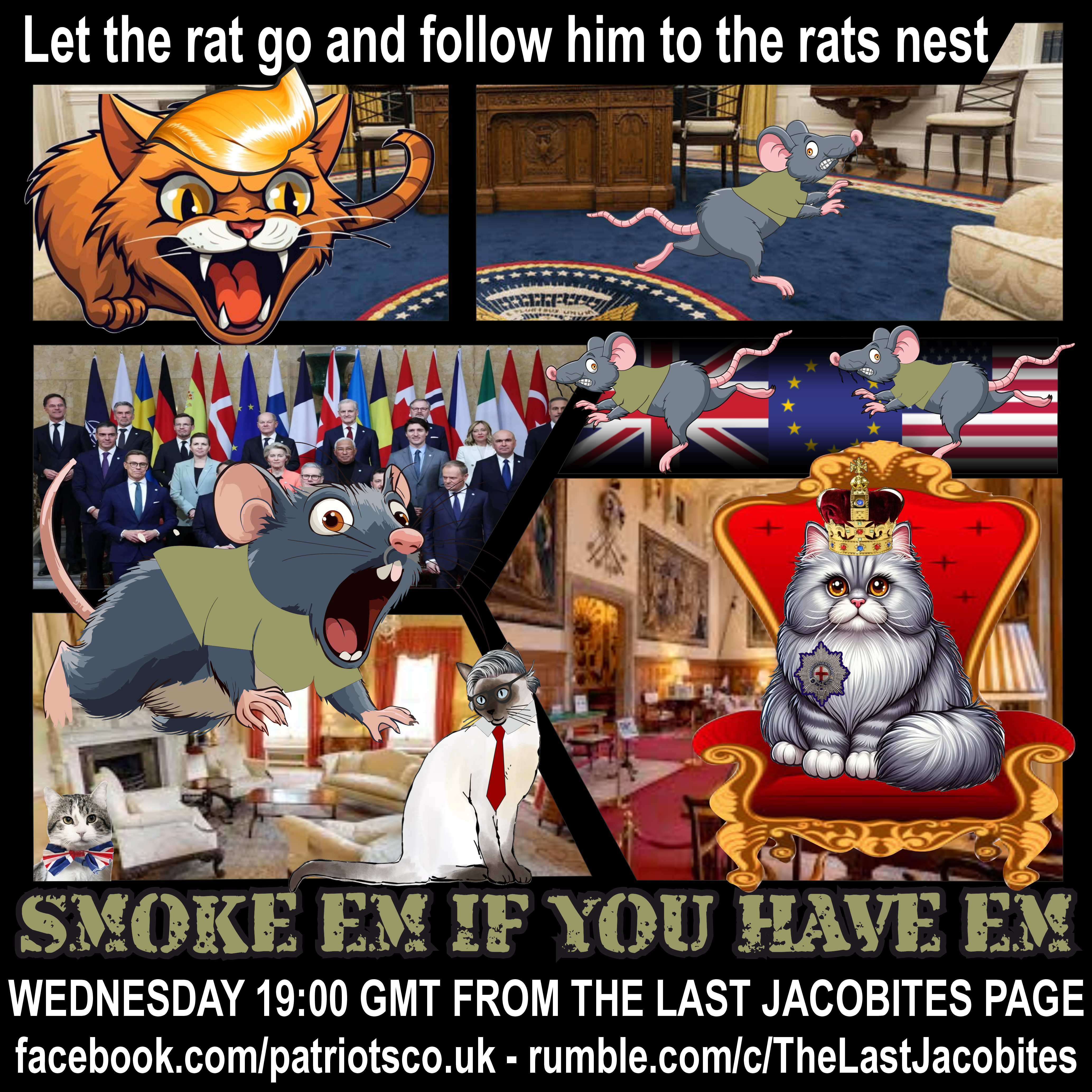 Let the rat go and follow him to the rats nest