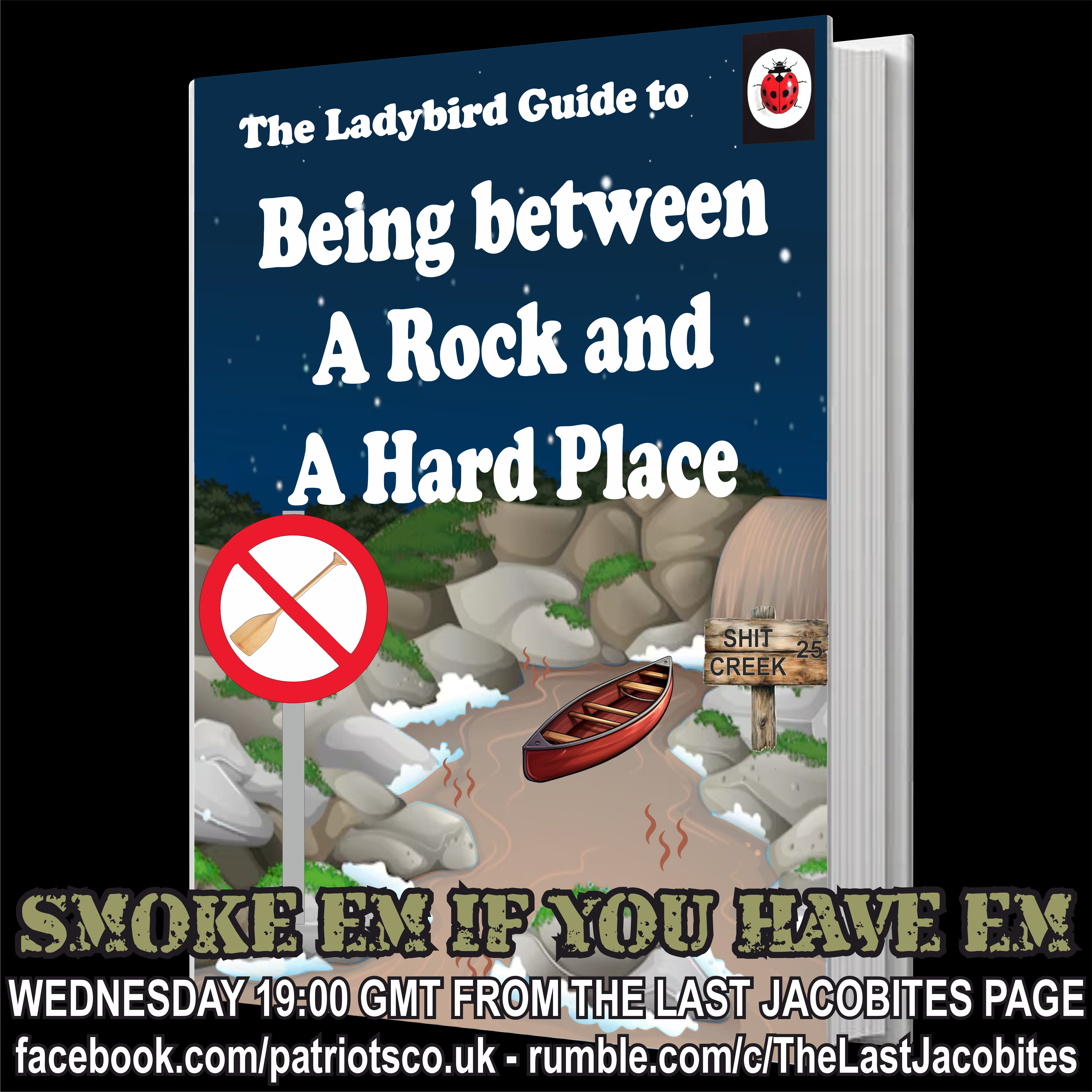 The Ladybird Guide to Being between A Rock and A Hard Place