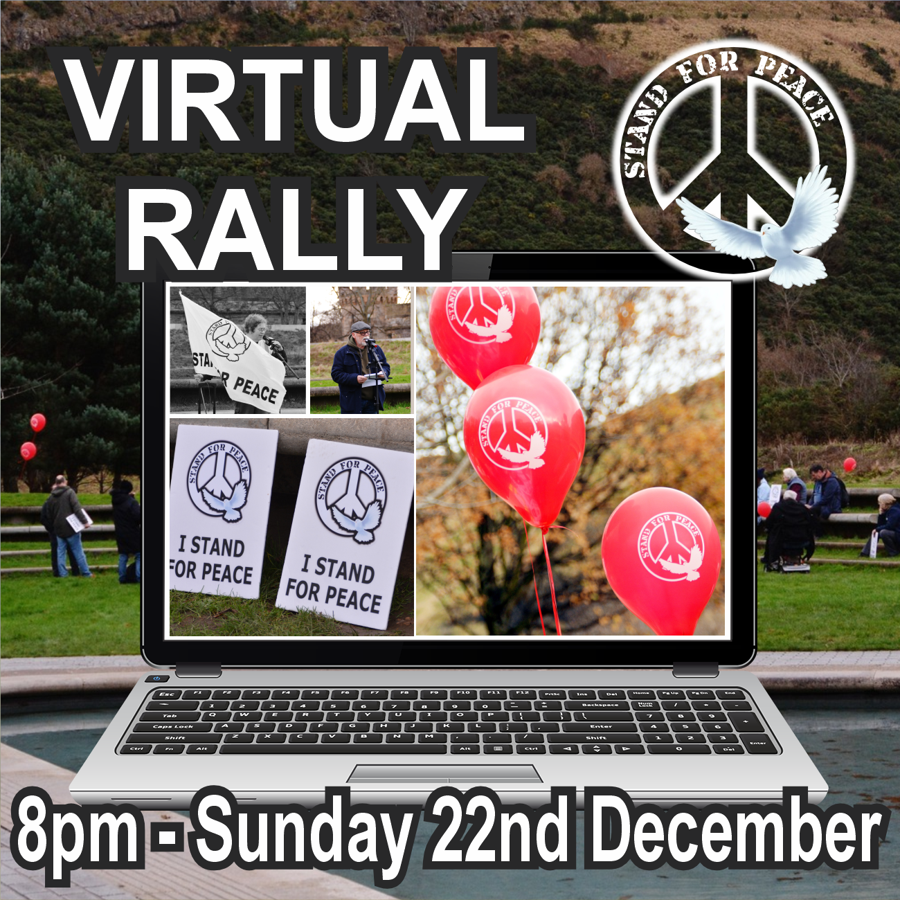 Virtual Rally